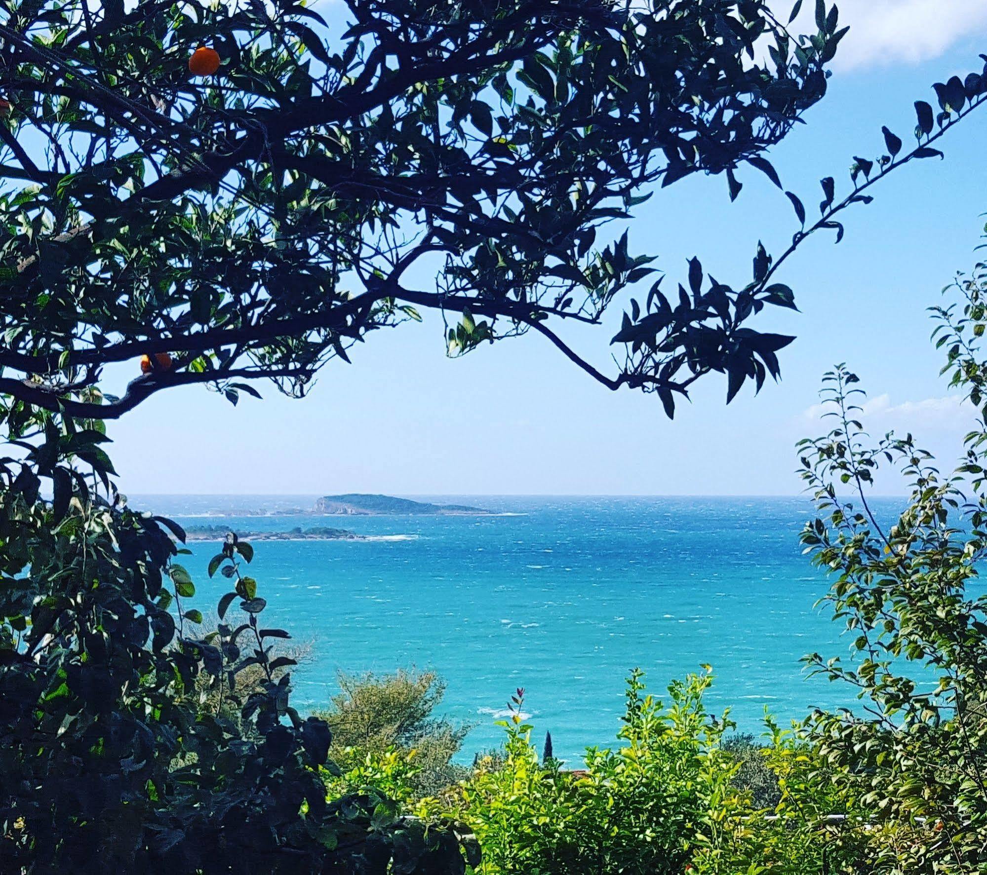 Apartmani Ana Mlini Kültér fotó